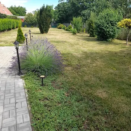 Golden Tiszafured
